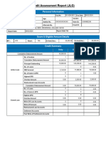 Credit Summary Report