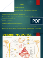 Regulación de La Actividad Visceral