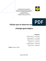 Células Que Se Observan Mediante La Citología Ginecológica-1