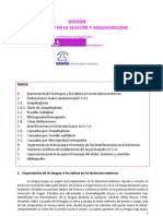 Disfunciones Orales y Su Impacto en La Lactancia