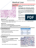 Medical Liver Advanced