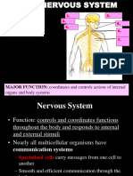 10 Q2 NervousMuscular-Skeletal-Integumentary