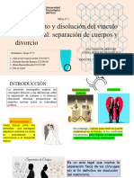 Disolucion Del Vinculo Matrimonial, Divorcio