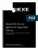 Desarrollo de Una Agenda de Seguridad Pública1