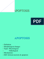 APOPTOSIS