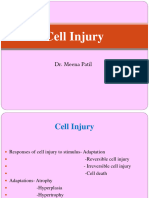 Cell Injury