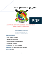 Auditoria de Gestion