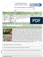 2° SEC. EDA 2 SEMANA 1 Explica CYT 2023 Cómo Es El Proceso de Nutrición de Los Seres Vivos