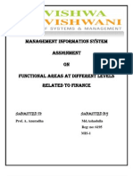 Management Information System Assignment On Functional Areas at Different Levels Related To Finance