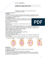 Anatomie Du Vagin Et de La Vulve