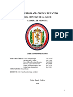 Informe Impetigo