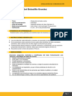 TAREA T2 - Apellido - Nombre - COMU 2024 - RV