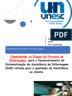 Introduao Conceitos de Sae e Processo de Enfermagem