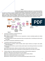 Ficha de Exercicios - Reprodução Sexuada, Assexuuada e Ciclos de Vida