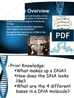 DNA Overview Central Dogma