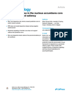 Dopamine Release in The Nucleus Accumbens