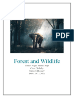 Forest and Wildlife