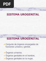 Anatomia Aparto Urogenital