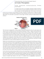 The Physics of Light and Color - Human Vision and Color Perception - Olympus LS