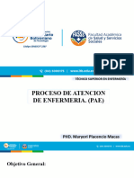 Proceso de Atencion de Enfermeria