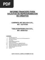 Informe Financiero Carpinte Art SRL Noviembre 2023