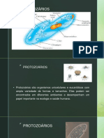 Micro Biolog I A