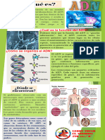 INFOGRAFIA Adn