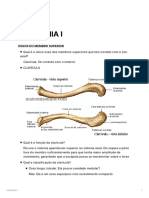 Anatomia I