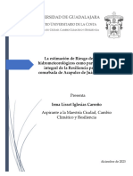 Protocolo - Irma Lisset Iglesias Carreño