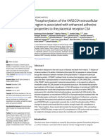 2019 Phosphorylation of The VAR2CSA Extracellular Region Is Associated With Enhanced Adhesive Properties To The Placental Receptor CSA