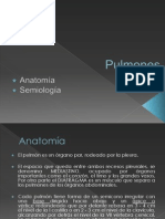 Pulmones