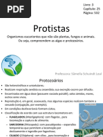 Protista S