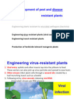 Development of Pest and Disease Resistant Plants