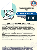 Bitacora Modulo I