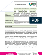 Formato de Informe de Necesidad