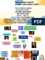 MAPA MENTAL Filosofía 5D