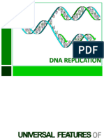 DNA Replication