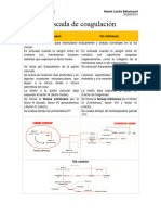 Cuadro Comparativo Vía de La Coagulación