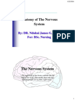 Anatomy of Nervous System-Dr. Ndukui