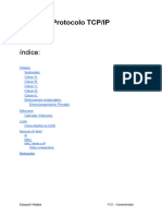 Notas de Clase Sobre Protocolos TCP/IP