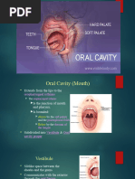 Oral Cavity Nursing