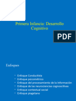 Desarrollo Cognitivo - Primera Infancia