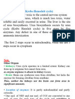 (Krebs-Henseleit Cycle) : Urea Formation