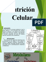 Nutrición Celular