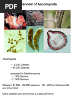 Lecture 9 Overview of Ascomycetes 1uhz76v