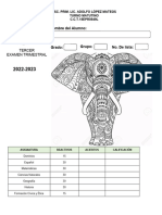 Examen Tercer Trimestre Quinto D