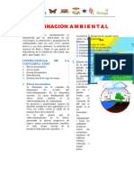 Efectos de La Contaminación Ambiental para Primero de Secundaria