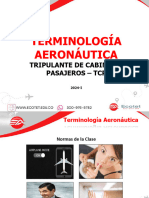 Terminología Aeronáutica