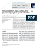 Effective Evaluation of Shale Gas Reservoirs by Means of An Integrated