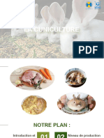 Cuniculture